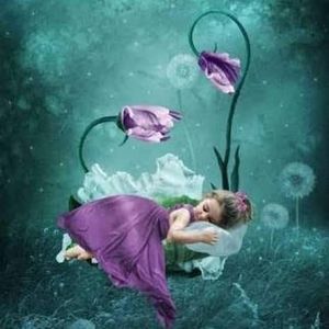 Meet your Posher, Marlene